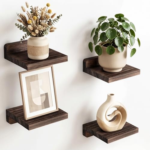 Fixwal Small Shelf for Wall, 5X5 Inches Floating Shelves Set of 4, Rustic Wood Small Wall Mounted Shelves for Bedroom, Living Room, Kitchen, Bathroom Decor (Dark Carbonized Black) - color: Dark Carbonized Black