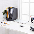 Amazon Basics Plastic Desk Organizer Vertical Magazine Rack and File Holder, Black, 12-Pack - size: 12 pack