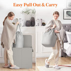 Lifewit Double Laundry Hamper with Lid and Removable Laundry Bags, Large Collapsible 2 Dividers Dirty Clothes Basket with Handles for Bedroom Laundry Room Closet Bathroom College, 136L Silver Gray - color: Silver Gray, size: 136L