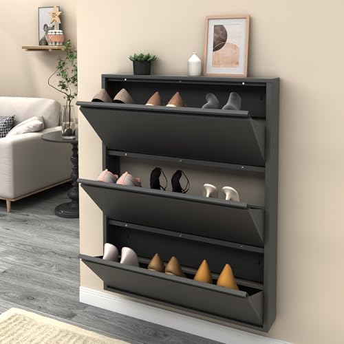 LUCYPAL Slim Shoe Cabinet,Metal Shoe Storage Cabinet for Entryway with 3 Flip Drawers,Narrow Wall Shoe Cabinet for Entryway,Hallway,Living Room,Black,Require Assembly - color: Black, size: 3 Drawers