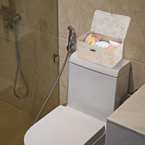 Sumnacon Wicker Basket with Lid Rectangle Woven Baskets for Toiletries Tampon Storage,Wicker Storage Basket with Lid,Decorative Seagrass Storage Baskets for Shelf Bathroom Toilet Table,Whitewash - color: Whitewash, size: Medium