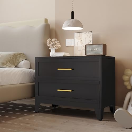 24.8" Tall Metal Dresser for Bedroom, 2 Drawer Nightstand, Side Table, Under Desk Steel Storage Drawer Cabinet, File Drawer for Home Office,Living Room, Entryway, Hallway - color: Black, style: Wide Style/2 Drawers