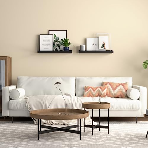 Boswillon Floating Shelves Wall Mounted Set of 2, Modern Black Wall Shelves for Storage with Lip, Display Picture Ledge Shelf for Wall Decor Bedroom Living Room Bathroom Kitchen - color: Black, size: 15.7 In