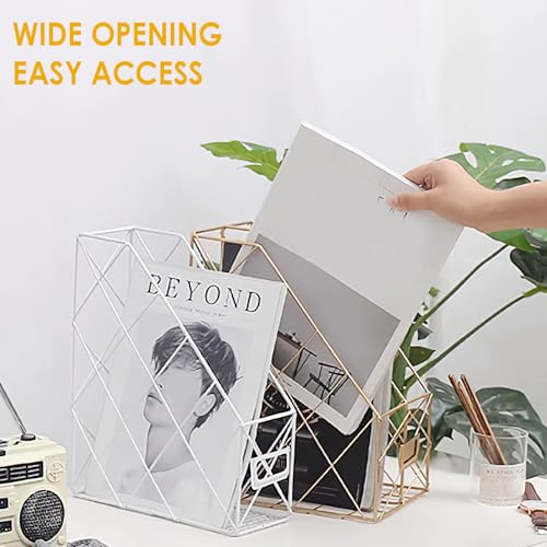 Modern Geometric Metal File Organizer for Desk, 8"×10"×12" Iron Mesh Magazine Holder, Desktop Document Rack Storage for Office Supplies, Vertical Book Stand File Folder Rack (Black) - color: Black