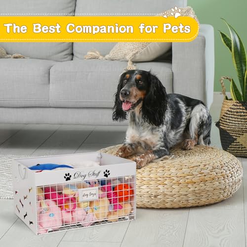 Bfttlity Dog Toy Basket - Large Dog Toy Box with Handles and Label Position Design for Living Room, Metal Dog Toy Bin Storage for Dogs Chew Pets Toys, Blankets, Clothes, Food (White) - color: Large White