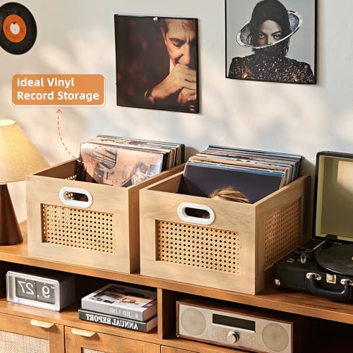 LELELINKY Vinyl Record Storage Crate, Rattan Vinyl Record Holder with Handle, Natural Wood Record Crate for Vinyls Holder up to 75 LP's, Desktop Cube Album Storage for Vinyls Records - color: Natural, size: 1 Pack