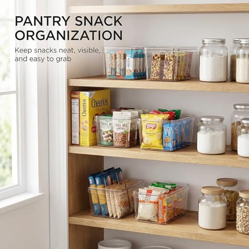 MOONEDGE Small Clear Plastic Storage Bins with Lids and Handles,Stackable Small Item Organizer Containers for Vanity,Craft,Office,Fridge,Kitchen,Pantry,Bathroom,Closet – 2 Pack (10×6×5 in) - size: 2 Pack