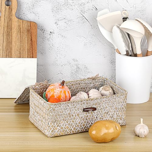 Sumnacon Small Wicker Basket with Lid Rectangle Woven Baskets for Toiletries Tampon Storage,Wicker Storage Basket with Lid,Decorative Seagrass Storage Baskets for Shelf Bathroom Toilet Table,Whitewash - color: Whitewash, size: Small