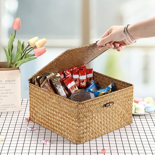 Hipiwe Handwoven Seagrass Basket Bin Square Household Storage Container with Lid Wicker Shelf Basket Bin for Bookshelf Living Room Bath Room, Large Caramel - color: Caramel, size: Large