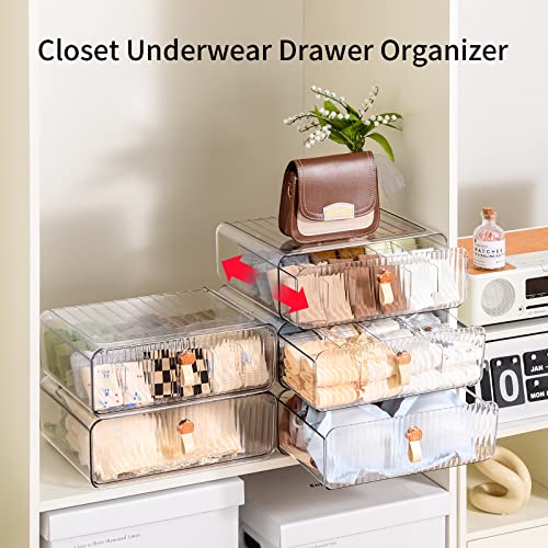 Socks Underwear Drawer Organizer Dividers, 16 Cell Stackable Closet Organizer, Plastic Underwear Drawer Storage for Clothing, Baby Clothes, Bra, Ties, Belts - color: Clear-16Cell-1 Pack