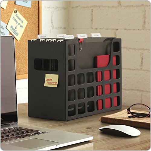 Pendaflex Portable Desktop File, Document Holder for Home and Office, Plastic Organizer Box, Side Handles, Hanging File Folders, Tabs & Inserts, Letter Size, 9-1/2 x 12-3/16 x 6 Inches, Black (23013) - style: Hanging File Organizer