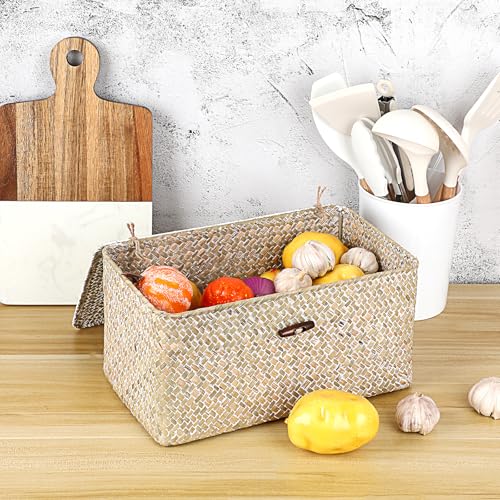 Sumnacon Wicker Basket with Lid Rectangle Woven Baskets for Toiletries Tampon Storage,Wicker Storage Basket with Lid,Decorative Seagrass Storage Baskets for Shelf Bathroom Toilet Table,Whitewash - color: Whitewash, size: Medium