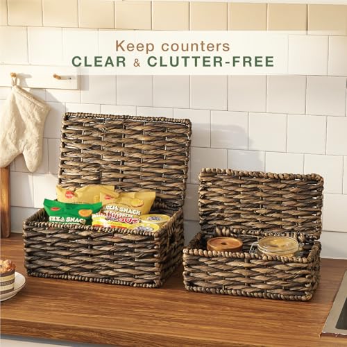 Set of 2 Black Wicker Baskets with Lid - color: Black