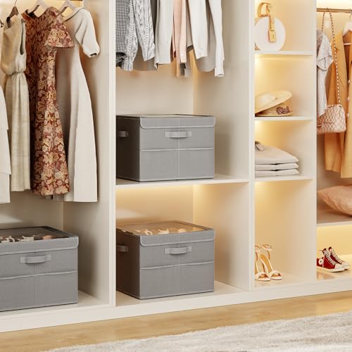 PHINOX Shoe Organizer for Closet, Fits 12-24 Pairs, Shoe Storage Bins with Clear Cover and Reinforced Handles, Foldable Shoe Storage Organizer, Space Saving Shoe Holder for Wardrobe, 1 Pack Gray - color: Gray, size: 1 Pack-17''L x 17''W x 12.5'' H