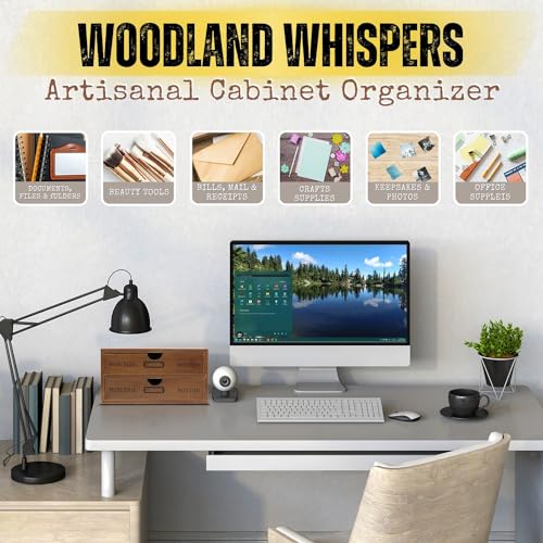 Flexzion Wooden Desktop Office Supplies Organizer with 2 Storage Drawers Set, 2-Tier Wood Tabletop Cabinet, Countertop Desk Accessories Box, for Home Workspace Counter Vanity Decor Art Craft Tool Mail - size: 2 drawer