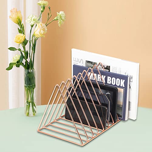 EASEPRES Rose Gold Magazine Holder, Desktop File Sorter Organizer Triangle 9 Slot Newspaper Record Storage Shelf Rack for Home Office Decoration - color: Rose Gold