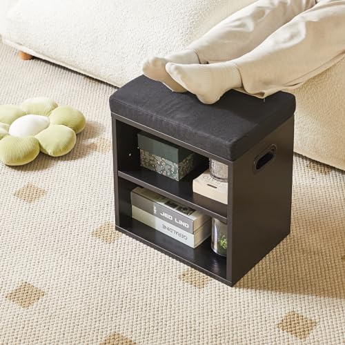 YMYNY Shoe Storage Bench with Cushion, 2 Tier Shoe Rack with Padded Seat, Adjustable Shoe Organizer Cabinet for Entryway, Living Room, Hallway, Closet, Bedroom, 15.4L*11W*16.54H, Black, UHBD028B - color: Black