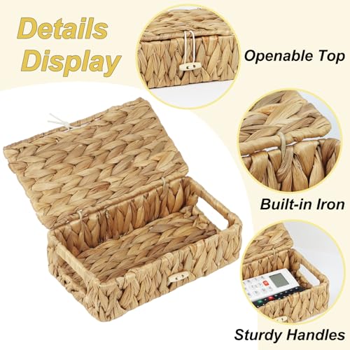 Small Basket with Lid, Wicker Storage Basket for Organizing, Rectangular Woven Basket for Storage, Water Hyacinth Decorative Boxes Bins with Lids (9" x 5.1" x 3") - size: 9" x 5.1" x 3"