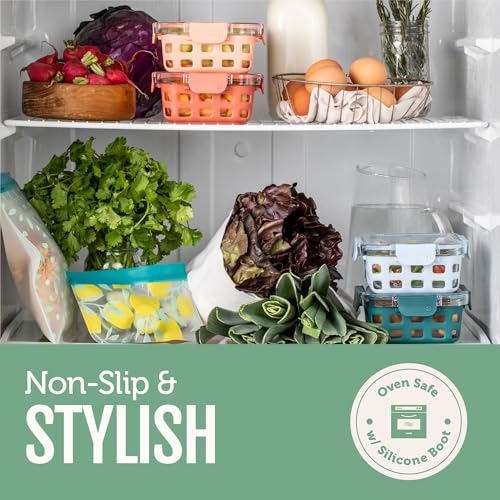 Ello Duraglass 3.4 Cup Meal Prep Sets 10Pc, 5 Pack Set- Glass Food Storage Container with Silicone Sleeve and Airtight BPA-Free Plastic Lids, Dishwasher, Microwave, and Freezer Safe, Olive Tree - color: Olive Tree, size: 3.4 Cup