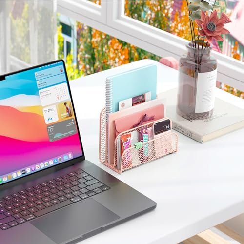 gianotter Mail Organizer Countertop, Metal File Holder with 3-Slot, Rose Gold Desk Accessories & Workspace Organizers (Rose Gold) - color: Rose Gold