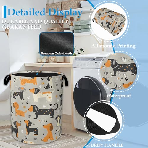 Dachshund Dog Laundry Basket Collapsible Laundry Hamper Clothes Toy Storage Bin for Bathroom Bedroom Room Decor 16" X 20.8" - color: Dachshund Dog