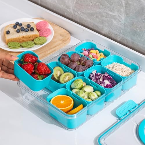 WACOI Divided Snack Serving Tray with Lid and Handle Travel Snackle Charcuterie Container Portable Storage Organizer for Candy, Fruits, Nuts, Snacks, Party, Picnic (1pack, Lake blue) - color: Lake blue