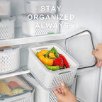 Freshmage Fruit Storage Containers for Fridge with Removable Colander, Airtight Food Storage Container, Dishwasher Safe Produce Saver for Refrigerator, Keep Berry Fruit Fresh Longer 4 pcs Small Clear - size: Small