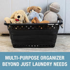 CleverMade Collapsible Laundry Baskets - 39L Foldable Large Collapsible Laundry Basket with Handles for Space Saving Storage, Black, 1 Pack - size: 1 Pack