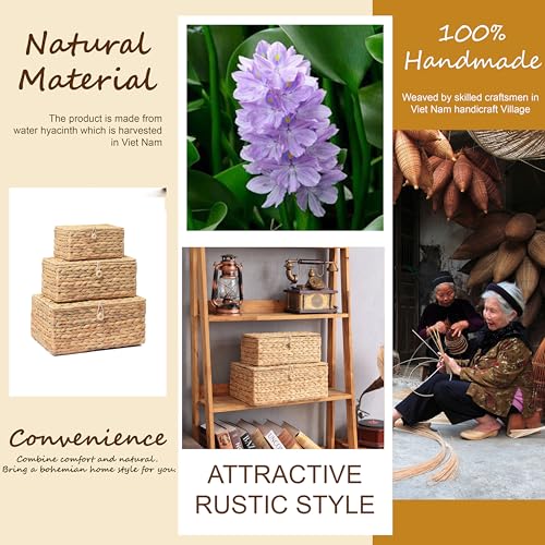 LUSYDECO Set of 3 Wicker Storage Baskets with Lid, Large Rectangular Rattan Basket Decorative Boxes, Natural Water Hyacinth Wicker Basket for Shelf Organizer, Nursery Room