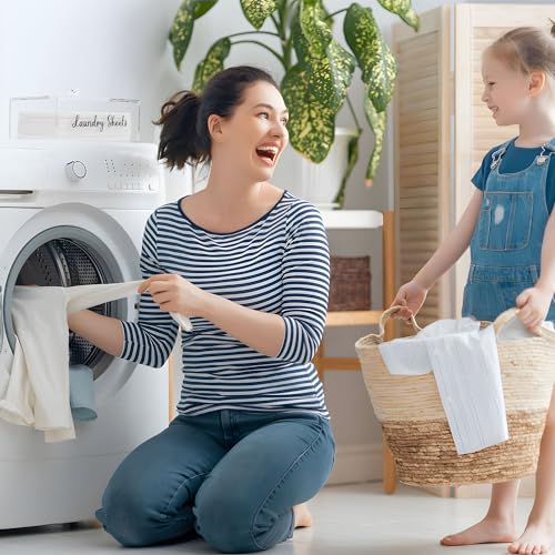 VOTLEVT Acrylic Laundry Detergent Sheets Holder, Laundry Sheets Holder with Lid, Laundry Sheets Container Laundry Room Organizers - color: Acrylic