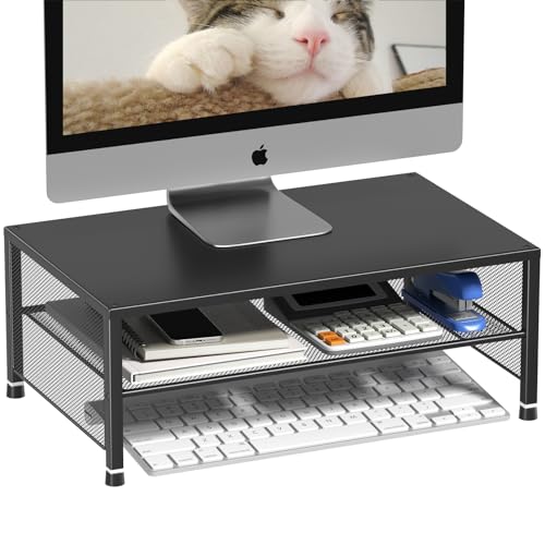 ECOLOVI 2-Tier Computer Monitor Stand Riser, Desk Organizer for Monitor, Printer & Laptop Stand, Desktop Workspace Organizers for Office Supplies(Black) - color: Black