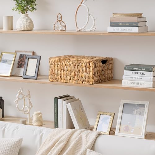 StorageWorks Extra Large Wicker Baskets with Lid for Organizing, Water Hyacinth Storage Baskets for Shelves, Decorative Box with Built-in Handles, Natural, 1 Pack - color: Natural(Water Hyacinth), size: 16½"L × 13"W × 7½"H