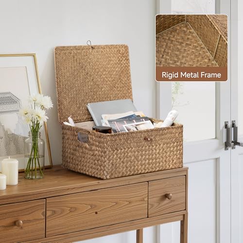 StorageWorks Extra Large Wicker Baskets, Seagrass Storage Baskets for Shelves, Decorative Box with Built-in Handles,Brown - color: Brown(Seagrass), size: 16½"L × 13"W × 7½"H