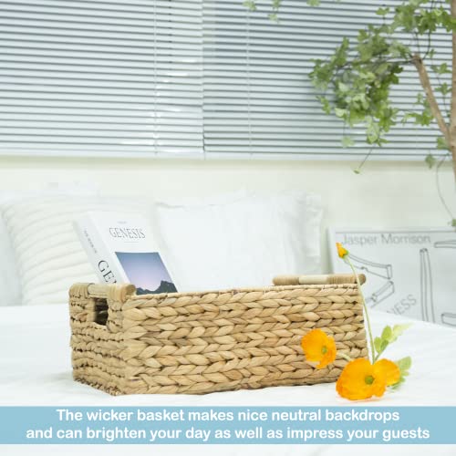 VATIMA Hyacinth Large Wicker Basket 15.5x10.8x6.2" - Rectangular, Wooden Handles, Shelf Organizer - color: Water Hyacinth, size: Large (15.5"L x 10.8"W x 6.2"H)
