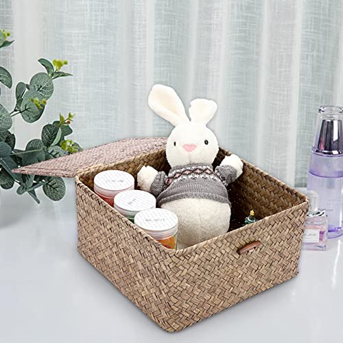 Hipiwe Wicker Shelf Baskets Bin with Lid Handwoven Seagrass Storage Basket Container Square Multipurpose Household Basket Boxes for Shelves and Home Organizer, Coffee Large - color: Coffee, size: Large