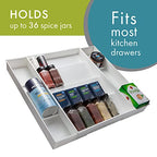 Dial Industries Expandable Kitchen Drawer Spice and Season Jar Organizer Tray - size: Standard Spice Organizer