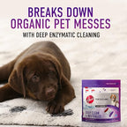 Hoover PowerDash Pet Compact Carpet Cleaner Machine, Lightweight Carpet Shampooer Machine, Pair with a Hoover Cleaner Solution for a Bright, Refreshed Home - style: PowerDash Pet & Paws and Claws Pods
