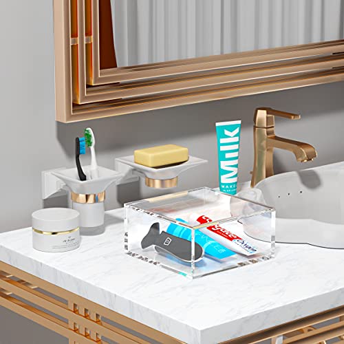 AITEE Decorative Acrylic Box with Lid, Clear Cube Display Case, Multi-Purpose Box Square Container for Holding Staples, Adhesive Tape, Paper Clips, Stamps, Display in Office or Home (X-Large) - size: X-Large