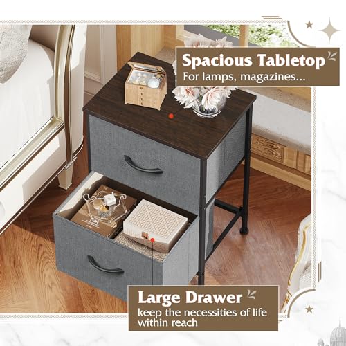 WLIVE Nightstand, 2 Drawer Dresser for Bedroom, Small Dresser with 2 Drawers, Bedside Furniture, Night Stand, End Table with Fabric Bins for Bedroom, Closet, Entryway, College Dorm, Dark Grey - color: Dark Grey, size: 11.8"D x 15.7"W x 20.9"H