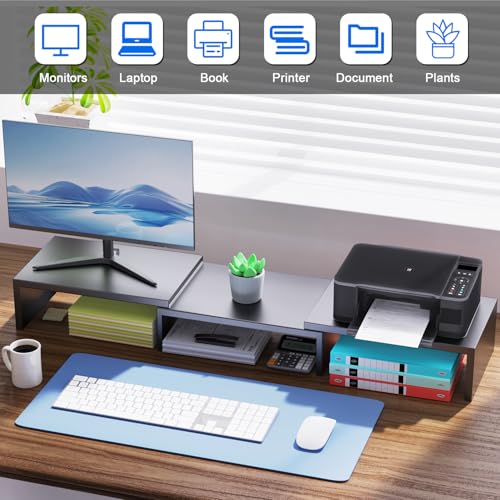 Dual Monitor Stand for Desk, Metal Computer Stand, Desk Shelf Riser,Desktop Organizer for Home and Office Use (Black) - color: Black