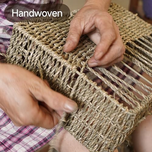 StorageWorks Small Pantry Baskets for Patato and Onion Storage, Wicker Baskets for Organizing with Built-in Handles, Seagrass Pantry Organizers and Storage for Shelves, Countertop, 2 Pack - color: Natural(Seagrass), size: 11 ½"L x 9 ½"W x 5"H