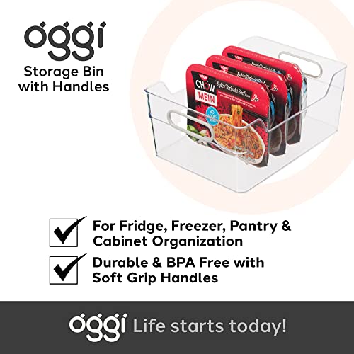 Oggi Cabinet / Drawer High Wall Storage Bin (12" x 8.75" x 5") (Pack of 2) - size: 12" x 8.75" x 5" (Pack of 2)