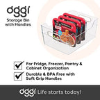 Oggi Cabinet / Drawer High Wall Storage Bin (12" x 8.75" x 5") (Pack of 2) - size: 12" x 8.75" x 5" (Pack of 2)