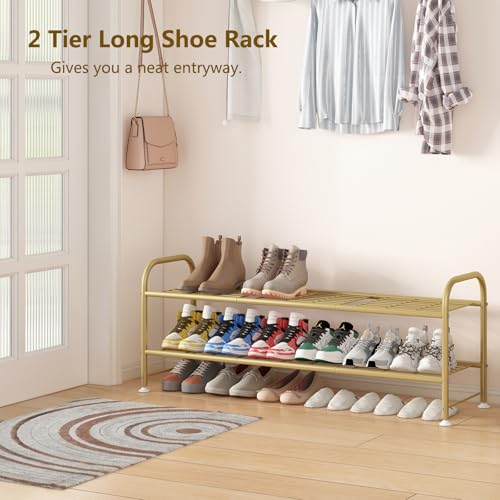 LINZINAR Shoe Rack Long 2 Tier Shoe Storage Organizer Metal Wide Shoe Shelf for Closet Entryway Bedroom 18 Paris Large Capacity, Gold - color: Gold, size: 2-Tier
