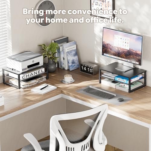 Ekisemio 2-Tier Computer Monitor Stand Riser, Desk Organizer for Monitor, Black