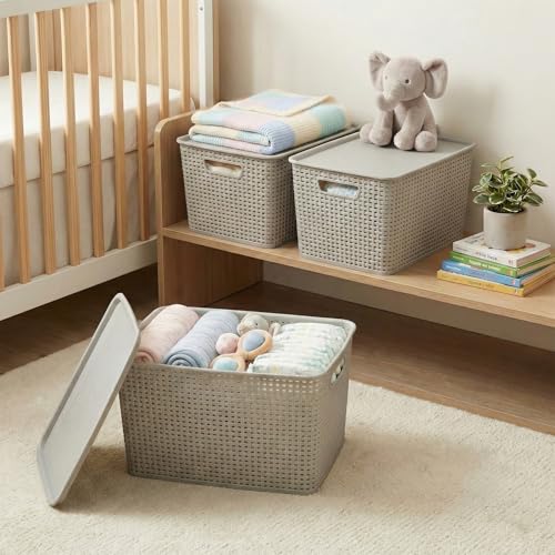 BINO | Plastic Storage Baskets with Lids, 22 Liter - 3 Pack, Natural Grey | THE WOVEN COLLECTION | Storage Basket for Shelves | Woven Storage Baskets for Organizing Bins | Pantry Shelf Organizer Bin - color: Natural Grey, size: 22L | 3-Pack