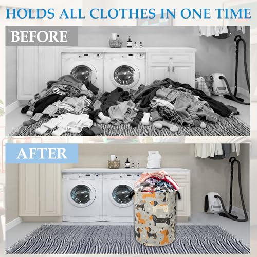 Dachshund Dog Laundry Basket Collapsible Laundry Hamper Clothes Toy Storage Bin for Bathroom Bedroom Room Decor 16" X 20.8" - color: Dachshund Dog