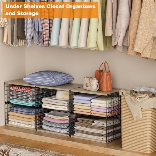2 Pack Extra-Long, Low-Profile Closet Organizers and Storage with Wood Top, 4 Tier Stackable Closet Shelf Organizer, Space-Saving Clothes Storage Bin for Wardrobe & Small Spaces, Sturdy (Black) - color: BLACK, size: 4-tier:15.74"L x 12"W x 17.32"H