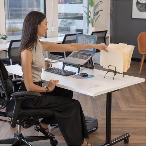 Fellowes Step File Junior Wire Organizer Rack, 6 Sections, Black (72613)