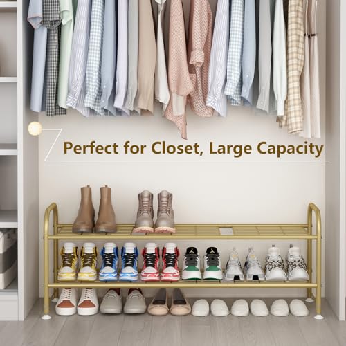 LINZINAR Shoe Rack Long 2 Tier Shoe Storage Organizer Metal Wide Shoe Shelf for Closet Entryway Bedroom 18 Paris Large Capacity, Gold - color: Gold, size: 2-Tier